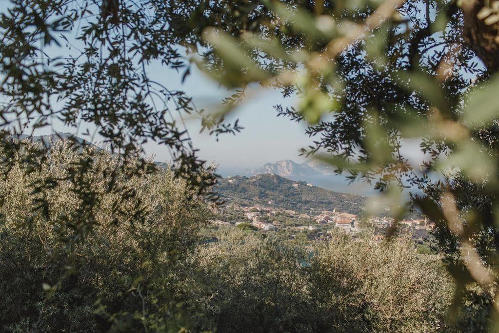 Eliana Hotel Sorrento